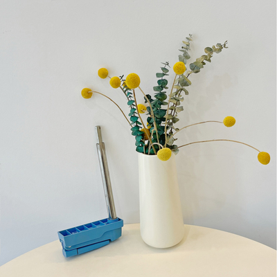 ABS het Onstabiele Handvat van het het Ziekenhuisbed voor Hand de Kleurenblauw van het het Ziekenhuisbed