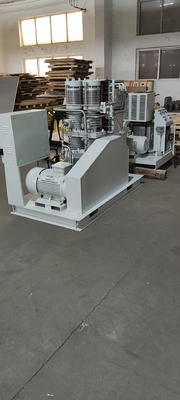 Cilinder het Vullen Hulpcompressor 30Nm3/H 50Nm3/H van de Olie de Vrije Zuurstof